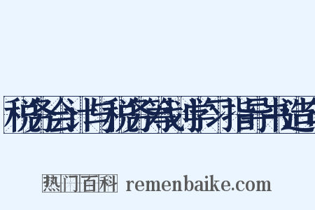 税务会计与税务筹划学习指导书造句是什么意思的图片
